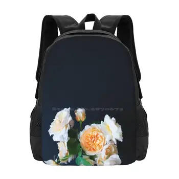 Английские розы, школьные сумки для девочек-подростков, дорожные сумки для ноутбуков, английские розы, натюрморт на черном фоне, кремово-персиково-желтый